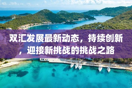 双汇发展最新动态，持续创新，迎接新挑战的挑战之路