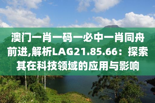 澳门一肖一码一必中一肖同舟前进,解析LAG21.85.66：探索其在科技领域的应用与影响