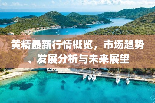 黄精最新行情概览，市场趋势、发展分析与未来展望