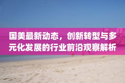 国美最新动态，创新转型与多元化发展的行业前沿观察解析