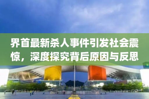 界首最新杀人事件引发社会震惊，深度探究背后原因与反思