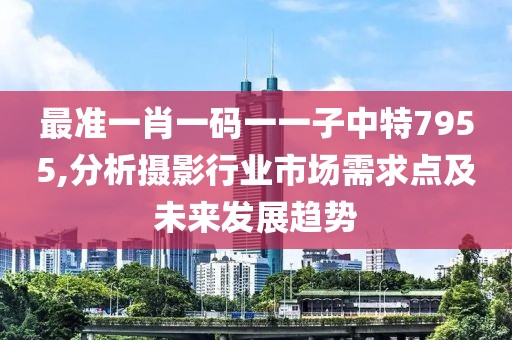 最准一肖一码一一子中特7955,分析摄影行业市场需求点及未来发展趋势