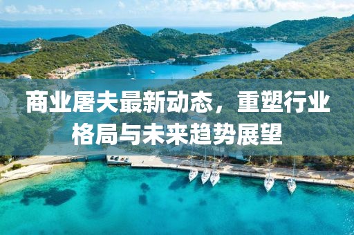 商业屠夫最新动态，重塑行业格局与未来趋势展望