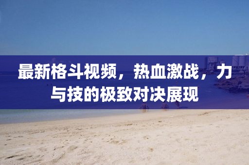 最新格斗视频，热血激战，力与技的极致对决展现