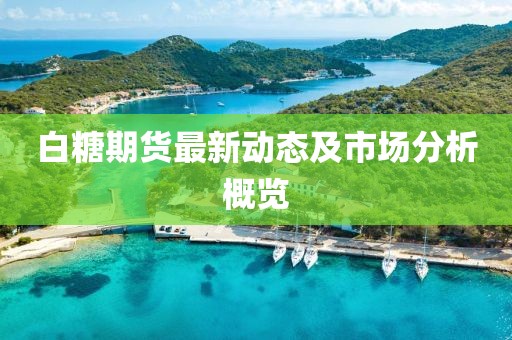 白糖期货最新动态及市场分析概览