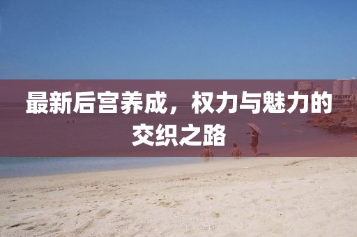 最新后宫养成，权力与魅力的交织之路