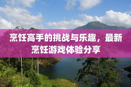 烹饪高手的挑战与乐趣，最新烹饪游戏体验分享
