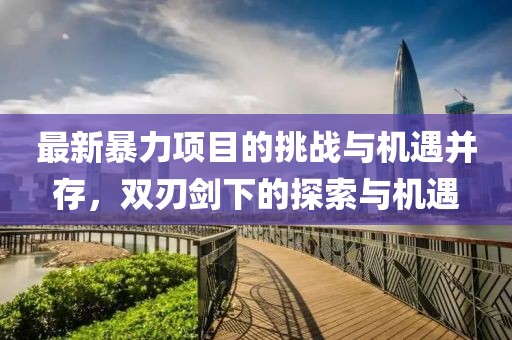 最新暴力项目的挑战与机遇并存，双刃剑下的探索与机遇