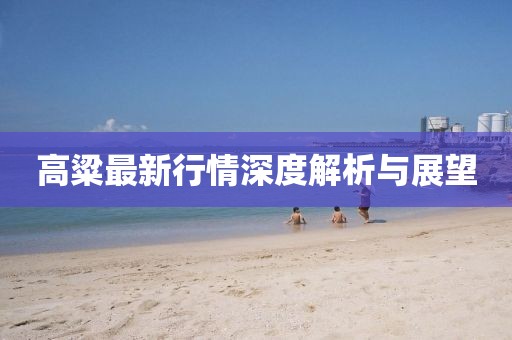 高粱最新行情深度解析与展望