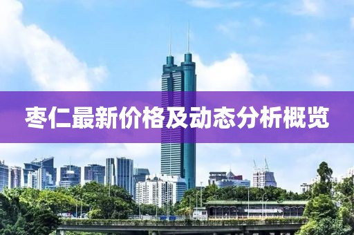 枣仁最新价格及动态分析概览