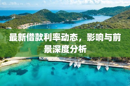 最新借款利率动态，影响与前景深度分析