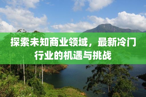 探索未知商业领域，最新冷门行业的机遇与挑战