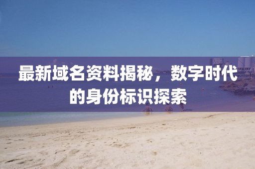 最新域名资料揭秘，数字时代的身份标识探索
