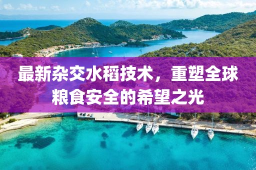 最新杂交水稻技术，重塑全球粮食安全的希望之光
