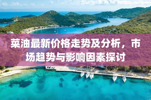菜油最新价格走势及分析，市场趋势与影响因素探讨