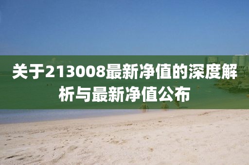 关于213008最新净值的深度解析与最新净值公布