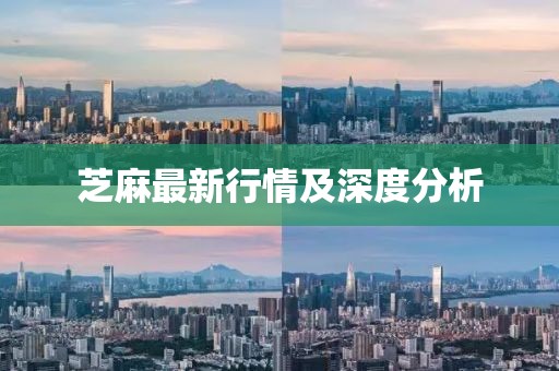 芝麻最新行情及深度分析