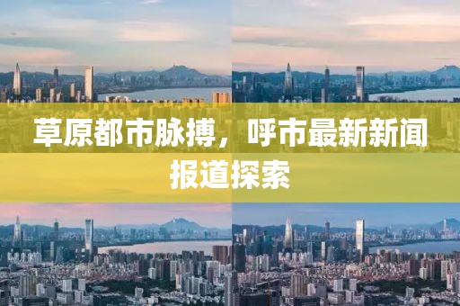 草原都市脉搏，呼市最新新闻报道探索