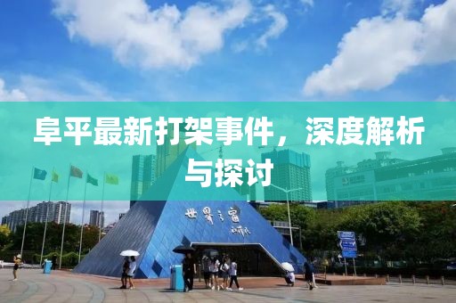 阜平最新打架事件，深度解析与探讨