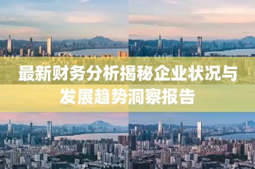最新财务分析揭秘企业状况与发展趋势洞察报告
