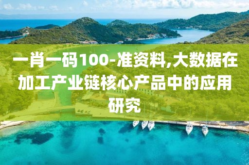 一肖一码100-准资料,大数据在加工产业链核心产品中的应用研究