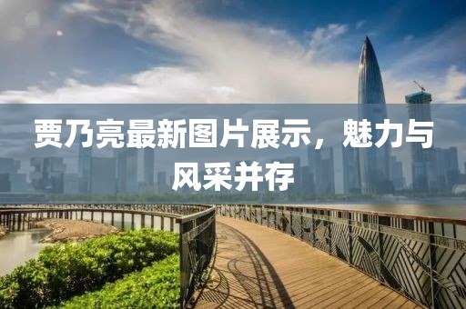 贾乃亮最新图片展示，魅力与风采并存