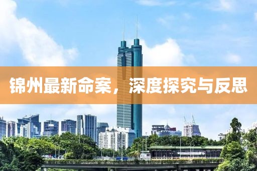 锦州最新命案，深度探究与反思