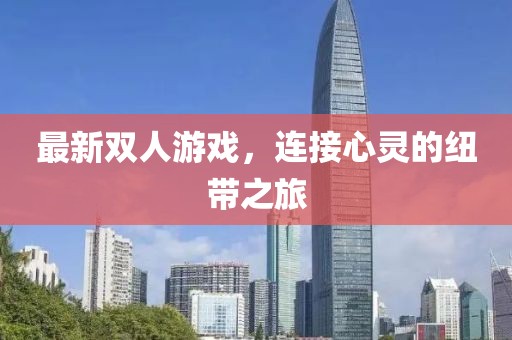 最新双人游戏，连接心灵的纽带之旅