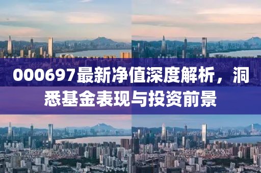 000697最新净值深度解析，洞悉基金表现与投资前景