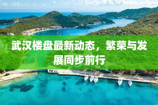 武汉楼盘最新动态，繁荣与发展同步前行