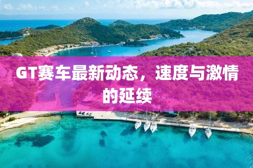 GT赛车最新动态，速度与激情的延续