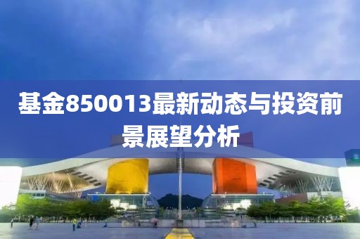 基金850013最新动态与投资前景展望分析