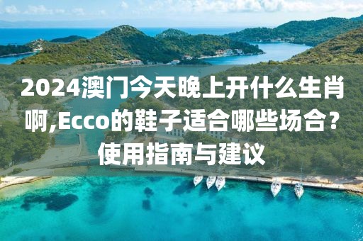 2024澳门今天晚上开什么生肖啊,Ecco的鞋子适合哪些场合？使用指南与建议
