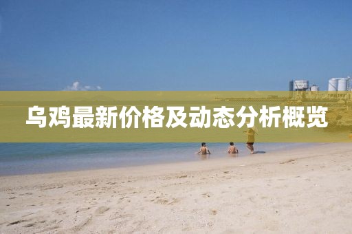 乌鸡最新价格及动态分析概览