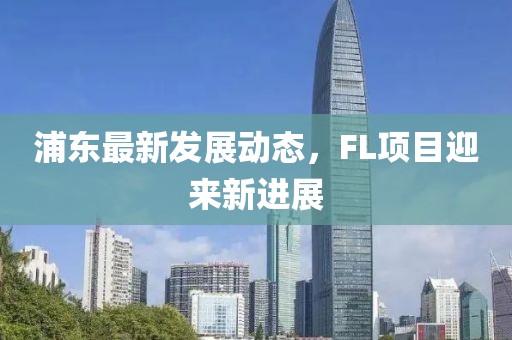 浦东最新发展动态，FL项目迎来新进展