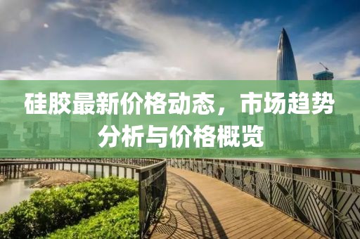 硅胶最新价格动态，市场趋势分析与价格概览