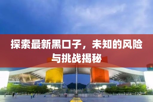 探索最新黑口子，未知的风险与挑战揭秘