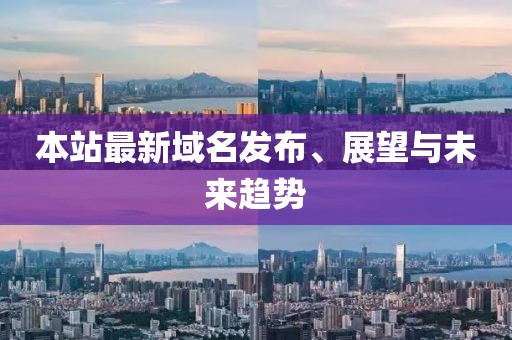 本站最新域名发布、展望与未来趋势