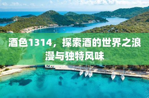 酒色1314，探索酒的世界之浪漫与独特风味