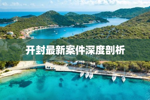 开封最新案件深度剖析