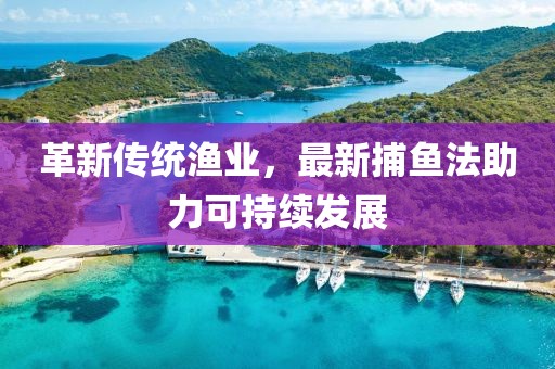 革新传统渔业，最新捕鱼法助力可持续发展