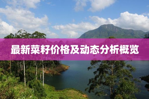 最新菜籽价格及动态分析概览