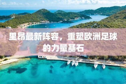 里昂最新阵容，重塑欧洲足球的力量基石