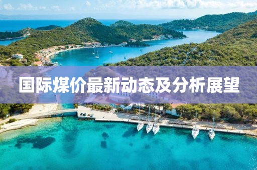 国际煤价最新动态及分析展望