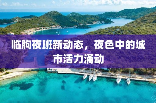 临朐夜班新动态，夜色中的城市活力涌动