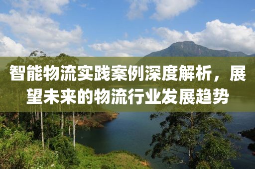 智能物流实践案例深度解析，展望未来的物流行业发展趋势