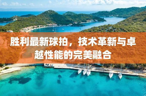 胜利最新球拍，技术革新与卓越性能的完美融合