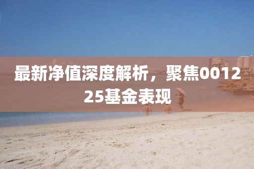 最新净值深度解析，聚焦001225基金表现