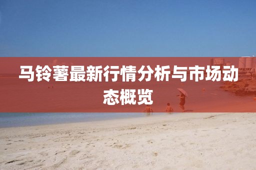 马铃薯最新行情分析与市场动态概览