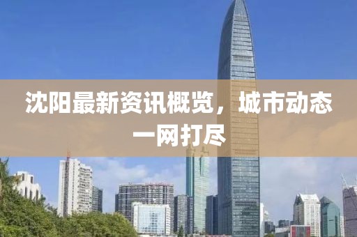 沈阳最新资讯概览，城市动态一网打尽